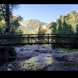 Meet your Posher, Darlene